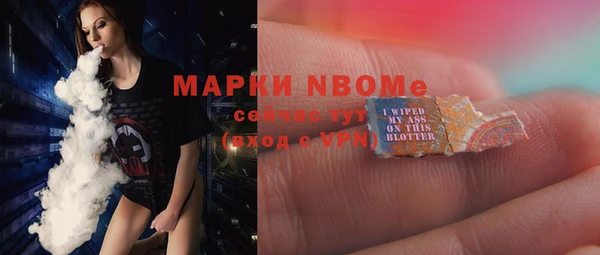 стафф Алексин