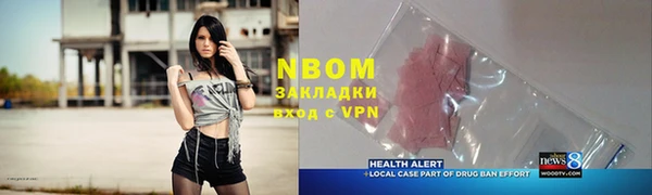 сатива Кострома