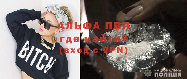 стафф Алексин